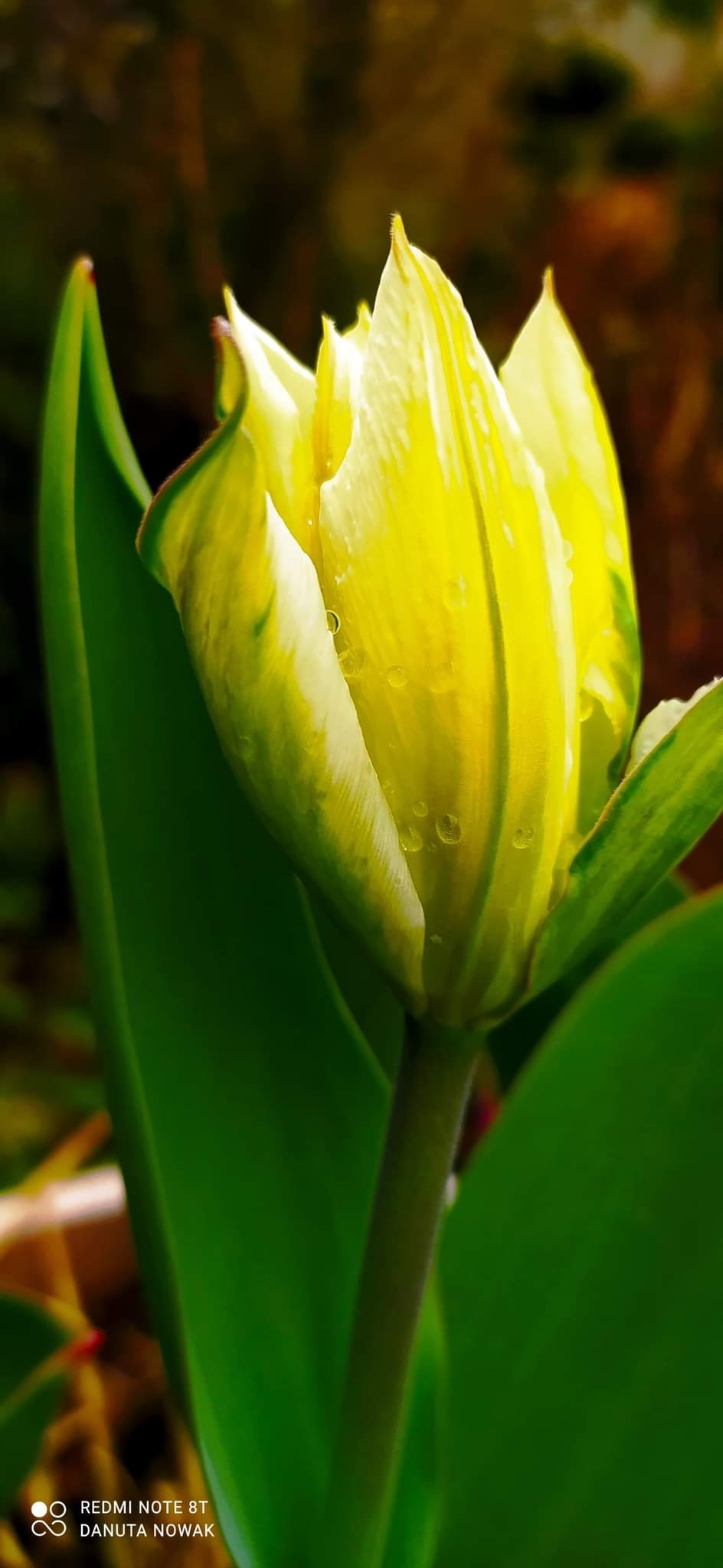 ZNAMY WYNIKI NA ZDJĘCIE ROKU W RAMACH PROGRAMU W OBIEKTYWIE RODZICA 
